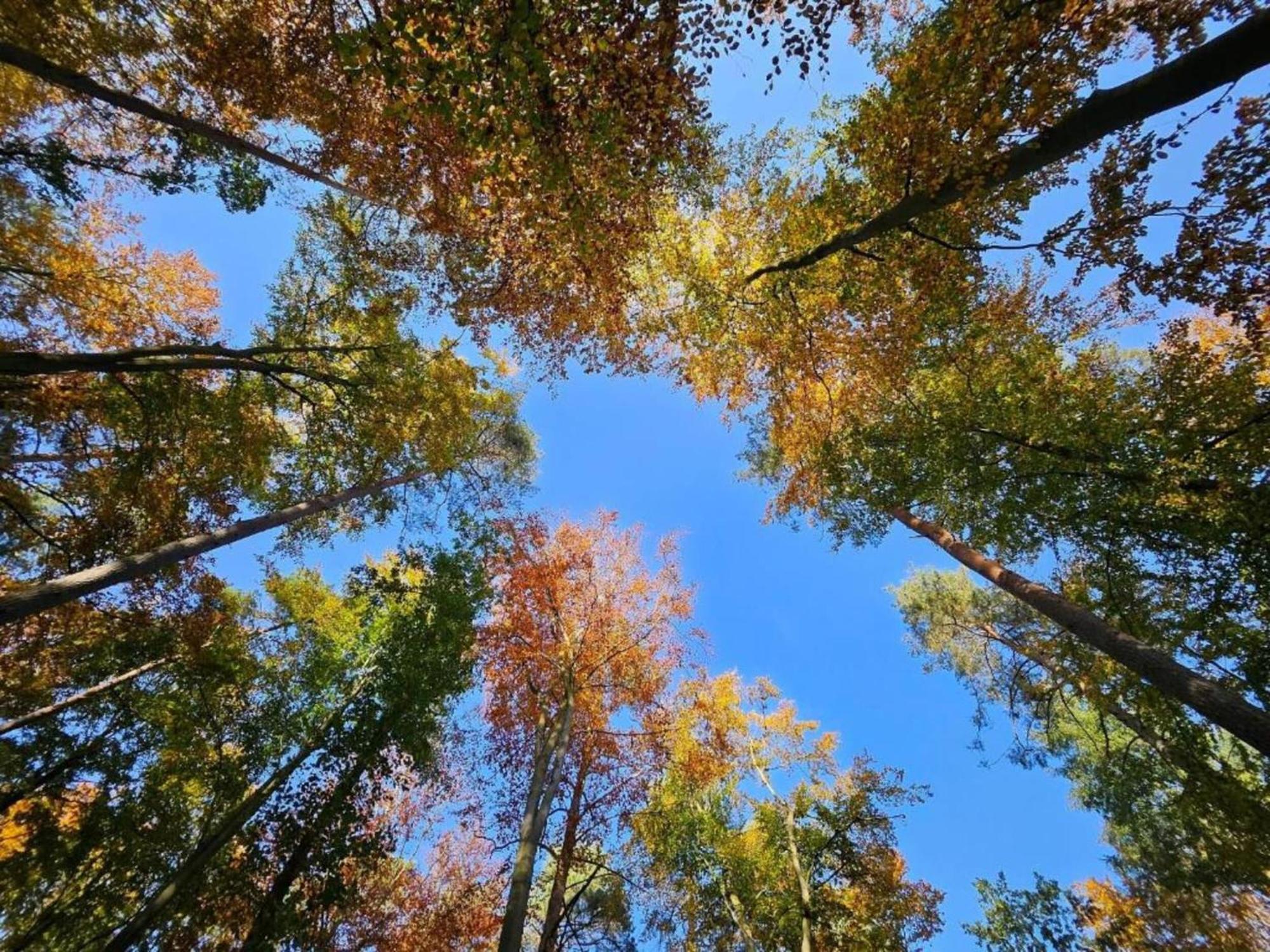 Ferienpark Mueritz In Rechlin-Nord Экстерьер фото